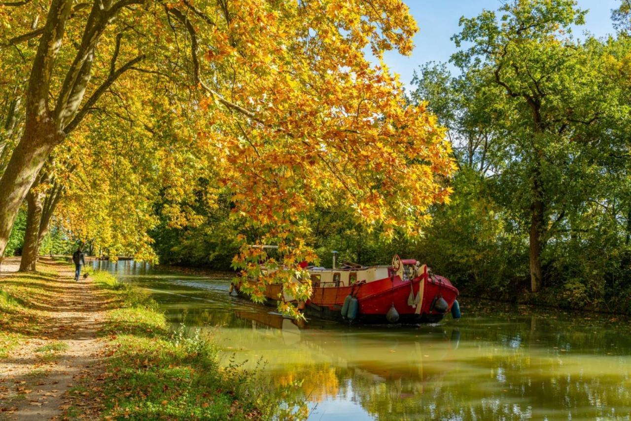 Le Dallas - 1 Chambre, 1 Canape-Lit, 1Er Etage, Parking, 10Min Canal Du Midi Castelsarrasin Luaran gambar